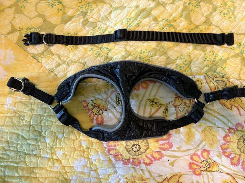 EUC Top Paw Reflective Mesh Dog Harness
W/  Adjustable Straps, Black, X-Small